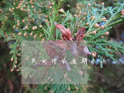民间借贷逾期未还 民间借贷逾期未还