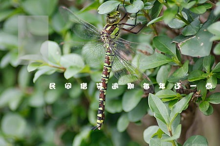 民间借贷逾期每年还一点 民间借贷逾期每年还一点