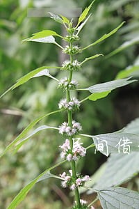 民间借贷逾期理解