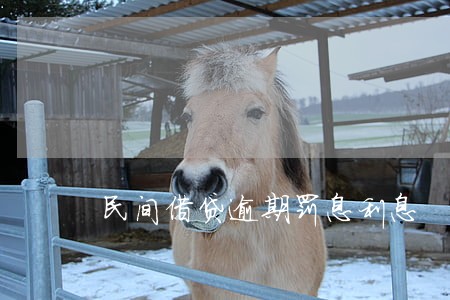 民间借贷逾期罚息利息 民间借贷逾期罚息利息