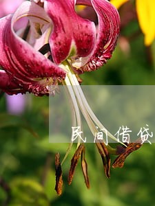民间借贷逾期罚息利率 民间借贷逾期罚息利率