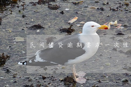 民间借贷逾期要求一次性还清 民间借贷逾期要求一次性还清