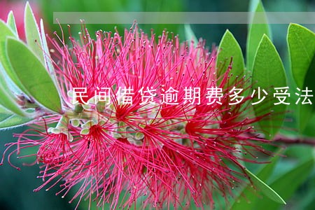 民间借贷逾期费多少受法律保护 民间借贷逾期费多少受法律保护