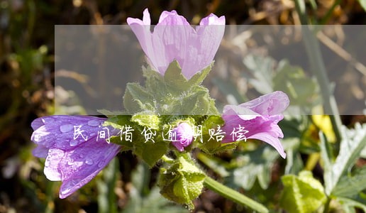 民间借贷逾期赔偿 民间借贷逾期赔偿