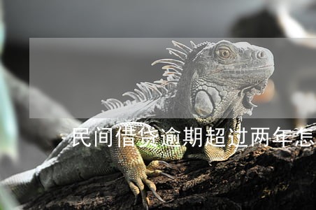 民间借贷逾期超过两年怎么办