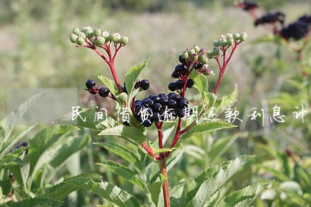 民间借贷逾期还款利息计算公式 民间借贷逾期还款利息计算公式