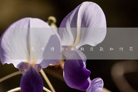 民间借贷逾期还款如何罚息