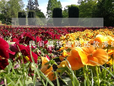 民间借贷逾期还款滞纳金 民间借贷逾期还款滞纳金