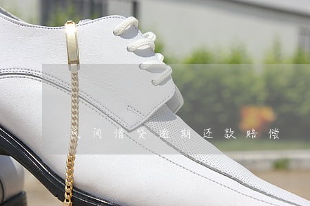 民间借贷逾期还款赔偿 民间借贷逾期还款赔偿