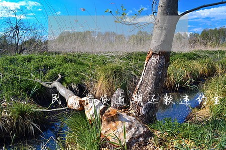 民间借贷逾期还款违约金 民间借贷逾期还款违约金