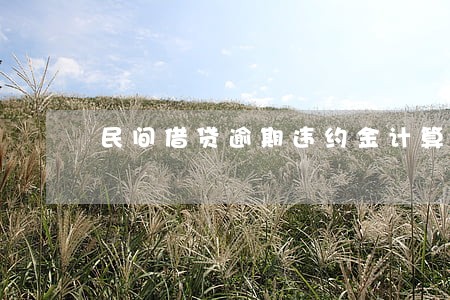 民间借贷逾期违约金计算基数