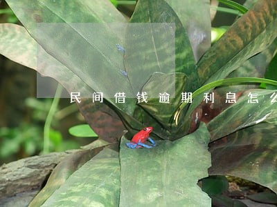 民间借钱逾期利息怎么计算