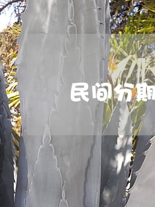 民间分期借贷逾期