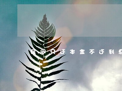 民间只还本金不还利息 民间只还本金不还利息