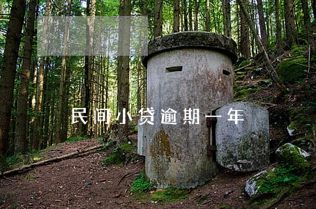 民间小贷逾期一年 民间小贷逾期一年