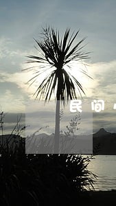 民间小贷逾期还能贷吗 民间小贷逾期还能贷吗