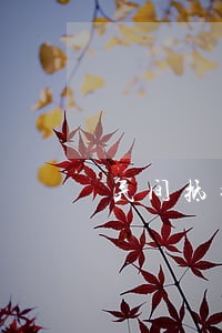民间抵押车辆逾期被开走 民间抵押车辆逾期被开走