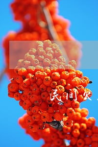 民间欠款逾期利息怎么算 民间欠款逾期利息怎么算