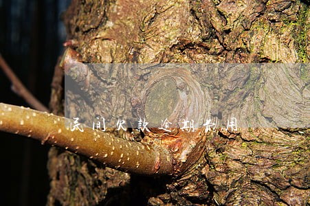 民间欠款逾期费用 民间欠款逾期费用