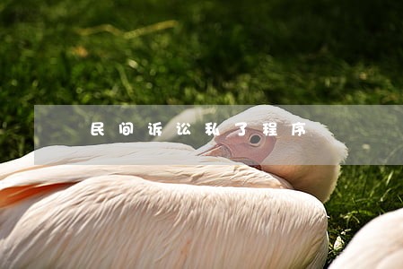 民间诉讼私了程序