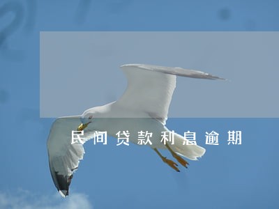 民间贷款利息逾期 民间贷款利息逾期