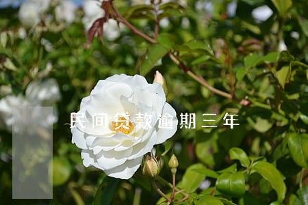 民间贷款逾期三年 民间贷款逾期三年