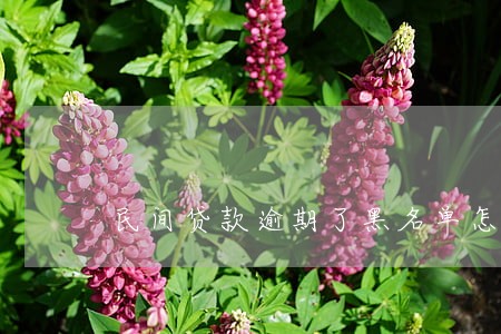 民间贷款逾期了黑名单怎么取消 民间贷款逾期了黑名单怎么取消