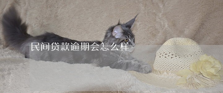 民间贷款逾期会怎么样 民间贷款逾期会怎么样