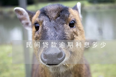 民间贷款逾期利息多少 民间贷款逾期利息多少