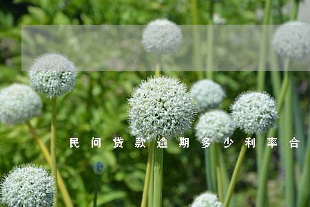 民间贷款逾期多少利率合法 民间贷款逾期多少利率合法