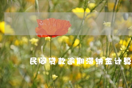 民间贷款逾期滞纳金计算公式 民间贷款逾期滞纳金计算公式