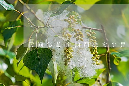 民间贷款逾期罚息多少是合法的 民间贷款逾期罚息多少是合法的