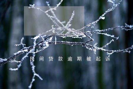 民间贷款逾期被起诉 民间贷款逾期被起诉
