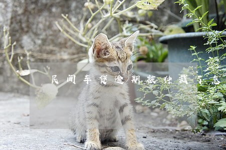 民间车贷逾期被仲裁了怎么办 民间车贷逾期被仲裁了怎么办