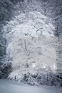 民间逾期利息怎么计算 民间逾期利息怎么计算