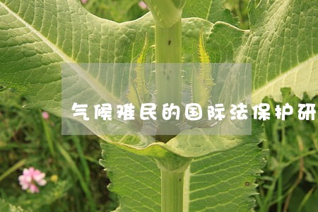 气候难民的国际法保护研究 气候难民的国际法保护研究