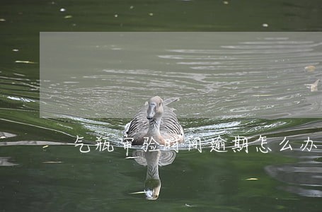 气瓶审验时间逾期怎么办 气瓶审验时间逾期怎么办