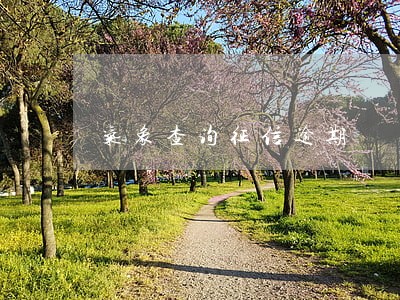 气象查询征信逾期 气象查询征信逾期