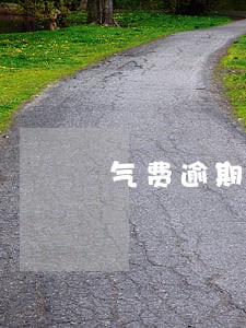 气费逾期一年多少钱 气费逾期一年多少钱