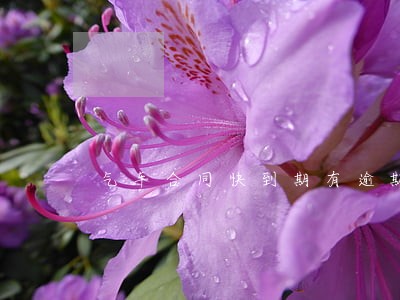 气车合同快到期有逾期用交