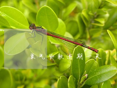 氧气贷款逾期一天 氧气贷款逾期一天
