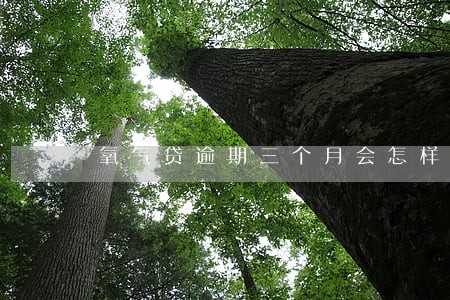 氧气贷逾期三个月会怎样 氧气贷逾期三个月会怎样