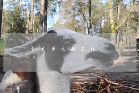 氧气贷逾期冻结 氧气贷逾期冻结