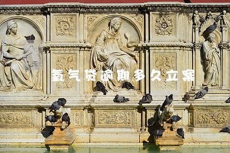 氧气贷逾期多久立案