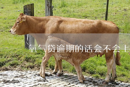 氧气贷逾期的话会不会上征信 氧气贷逾期的话会不会上征信