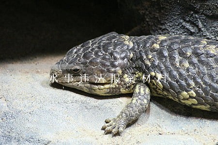 水事违法报案材料 水事违法报案材料