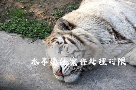水事违法案件处理时限 水事违法案件处理时限