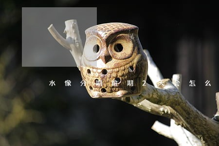 水像分期逾期2天会怎么样 水像分期逾期2天会怎么样