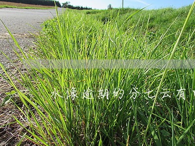水像逾期的分七云有申请过的 水像逾期的分七云有申请过的