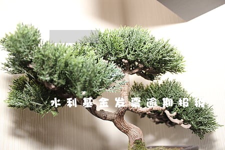 水利基金发票逾期报税